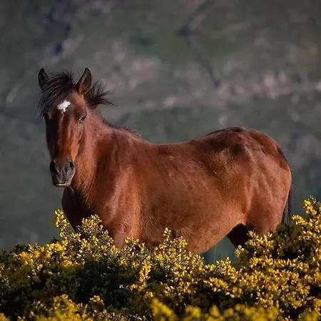 Casa Falagueiras Prázdninový dům Castro Laboreiro