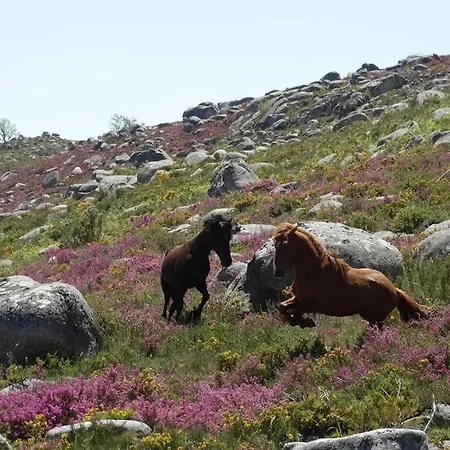 Casa Falagueiras Hébergement de vacances Castro Laboreiro